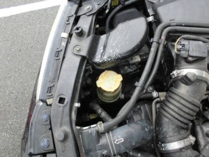 CIMG1118