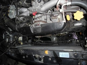 CIMG1124