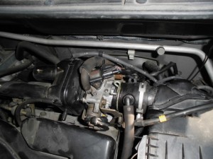 CIMG1206