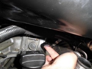 CIMG1255