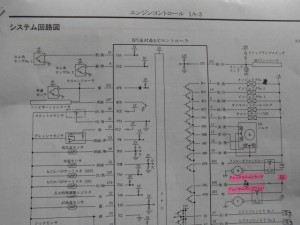 CIMG1405