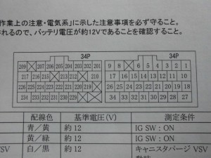 CIMG1409