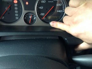 IMG_1503[1]