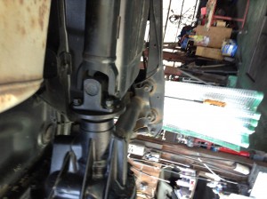 IMG_1533[1]